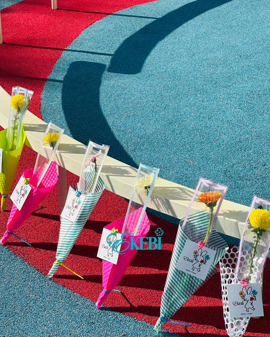 ⋆˚✿˖°SOLO EKEBI⋆.˚簡約不簡單