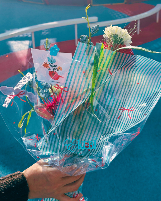 ⋆˚𝜗𝜚 NOEL EKEBI 𖧷晶雪秘境