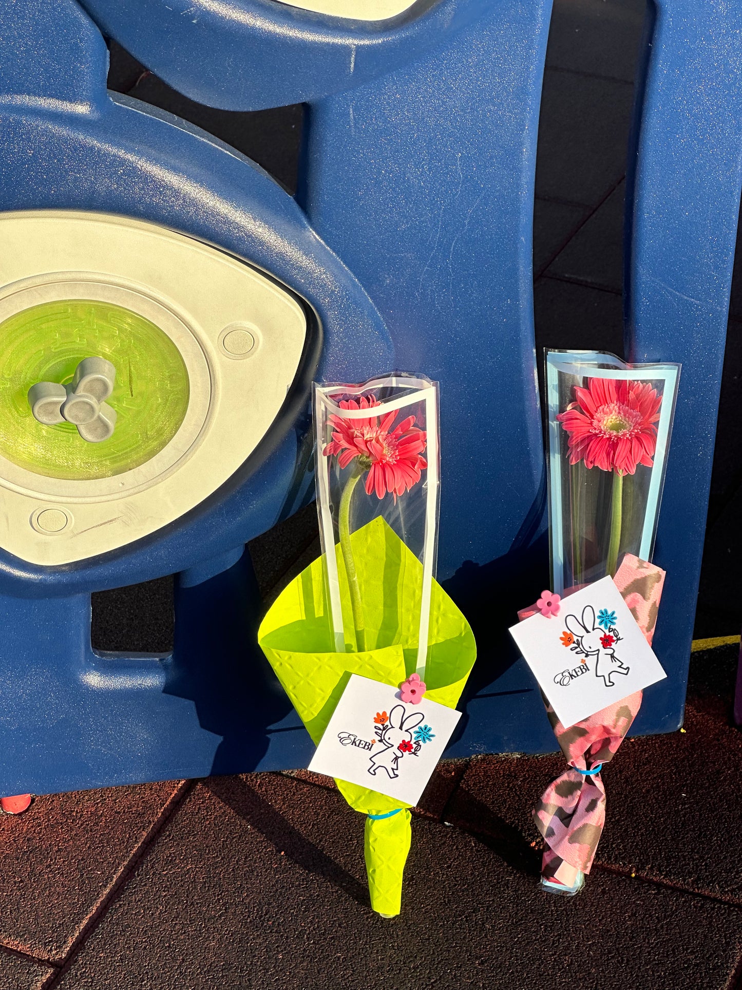 ⋆˚✿˖°SOLO EKEBI⋆.˚簡約不簡單