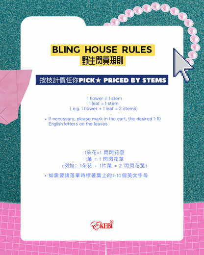 ⋆˚𝜗𝜚˚BLING BLING EKEBI 𖧷閃爆派對