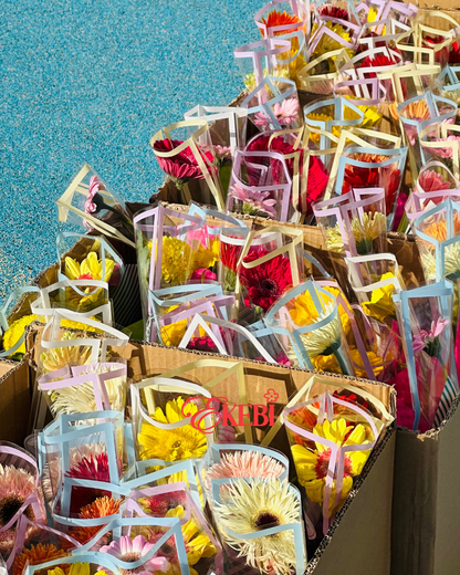 ⋆˚✿˖°SOLO EKEBI⋆.˚簡約不簡單