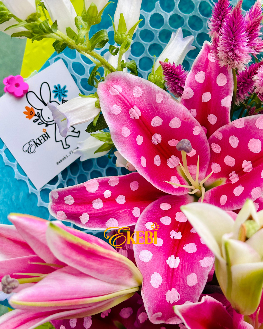 ⋆˚𝜗𝜚˚POLKA DOT EKEBI 𖧷斑點派對